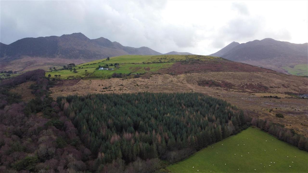 Mount Alohert House Killarney Dış mekan fotoğraf
